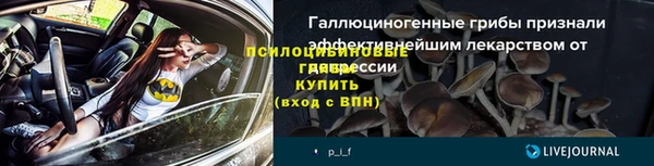 дмт Бугульма