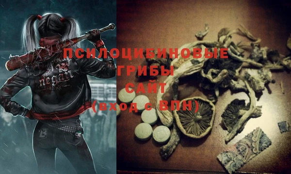 spice Бронницы