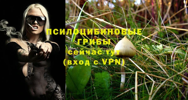 дмт Бугульма