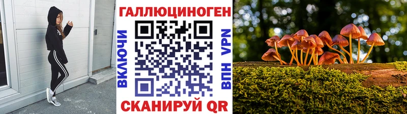 Псилоцибиновые грибы мицелий  Шимановск 